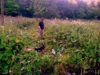 Bieszczadzki Przewodnik "Nieodkryte Bieszczady", Krzyż w Rabem