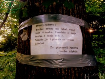 Bieszczadzki Przewodnik "Nieodkryte Bieszczady", Krzyż w Rabem