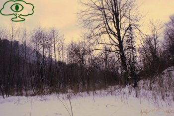 Bieszczadzki Przewodnik "Nieodkryte Bieszczady", Krzyż w Rabem