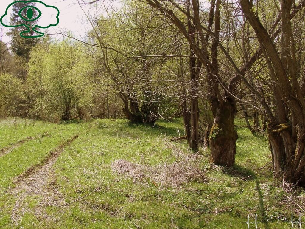 Przewodnik po Bieszczadach: Nieodkryte Bieszczady- Paniszczów 02