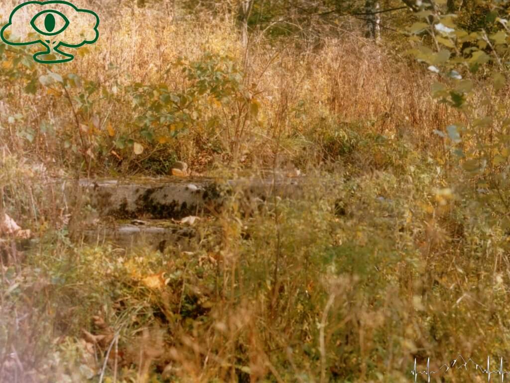 Przewodnik po Bieszczadach: Nieodkryte Bieszczady- Paniszczów 03