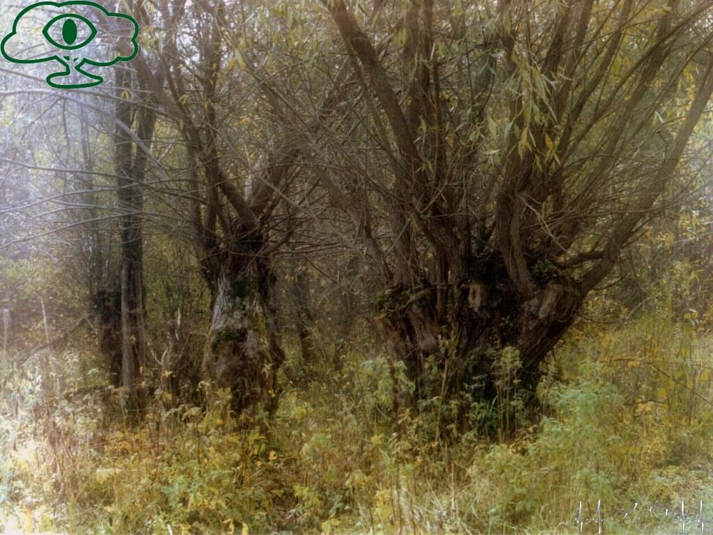 Przewodnik po Bieszczadach: Nieodkryte Bieszczady- Paniszczów 04