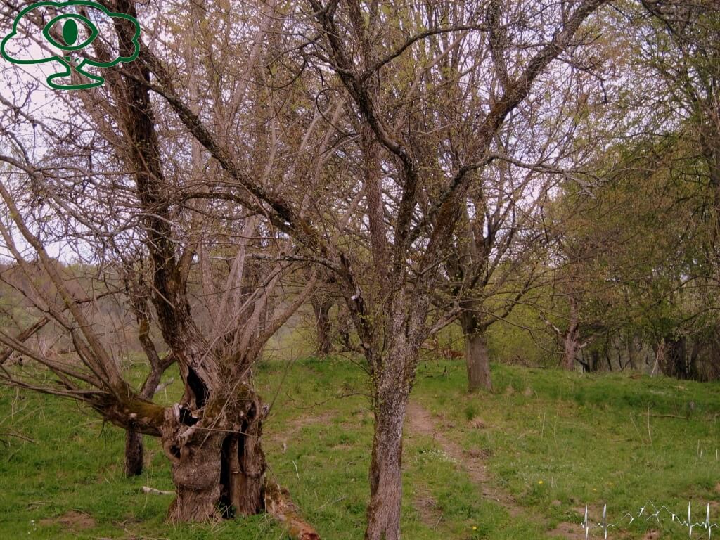 Przewodnik po Bieszczadach: Nieodkryte Bieszczady- Paniszczów 05