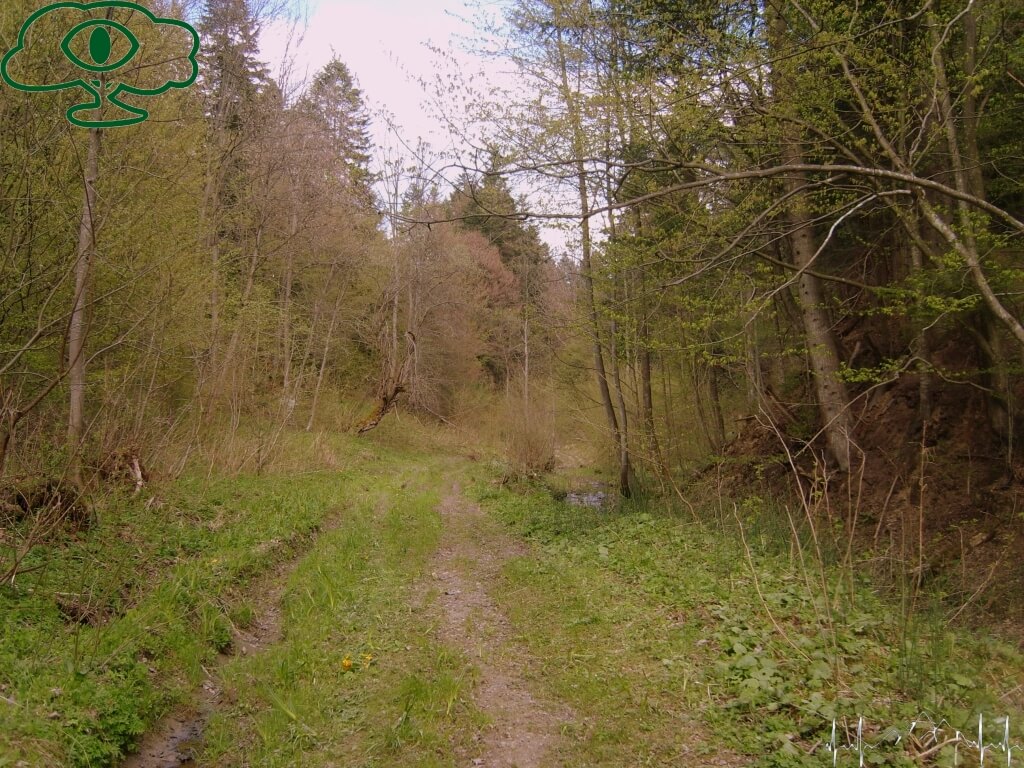 Przewodnik po Bieszczadach: Nieodkryte Bieszczady- Paniszczów 06