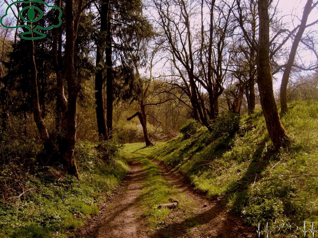 Przewodnik po Bieszczadach: Nieodkryte Bieszczady- Paniszczów 07