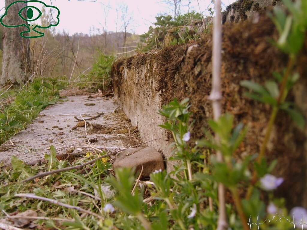 Przewodnik po Bieszczadach: Nieodkryte Bieszczady- Paniszczów 10