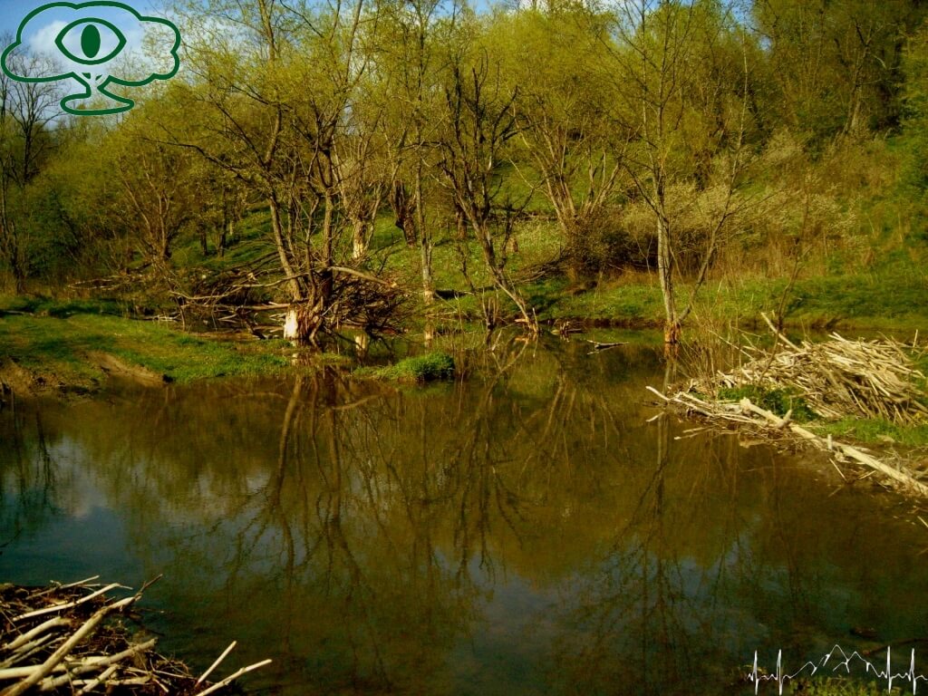 Przewodnik po Bieszczadach: Nieodkryte Bieszczady- Paniszczów 11