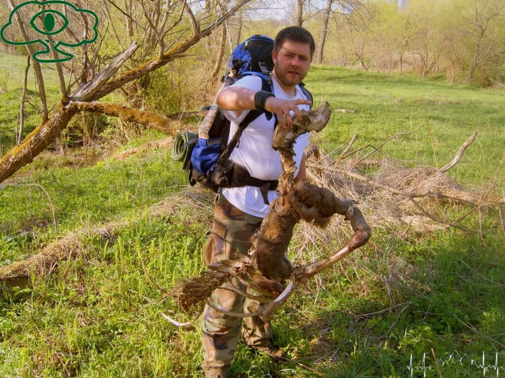 Przewodnik po Bieszczadach: Nieodkryte Bieszczady- Paniszczów 12