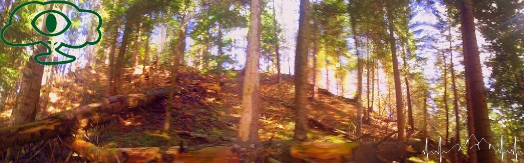 Kopalnie Ropy naftowej w Bieszczadach- kopalnia w Cisnej