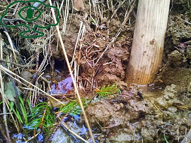 Kopalnie Ropy naftowej w Bieszczadach- kopalnia w Dołżycy