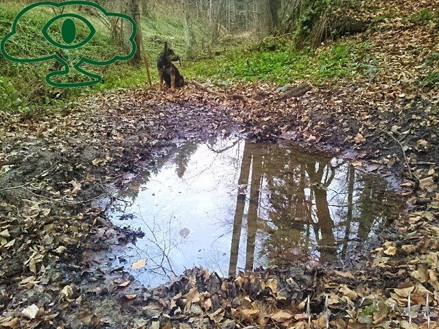 Kopalnie Ropy naftowej w Bieszczadach- kopanka ropy naftowej w Bieszczadach szyb 1