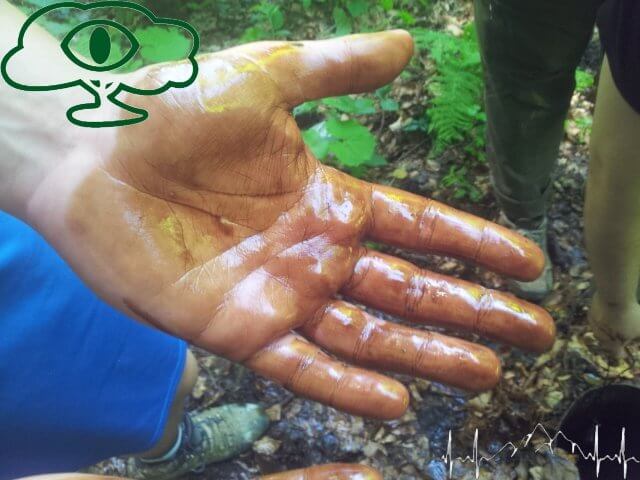 Kopalnie Ropy naftowej w Bieszczadach