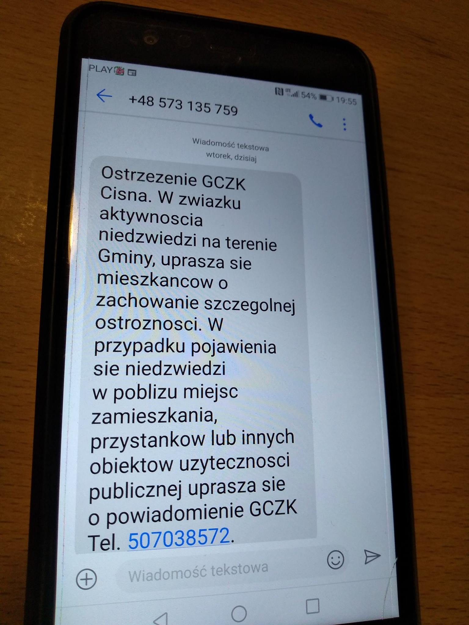 Niedźwiedzie w Bieszczadach częściej podchodzą do ludzi. 