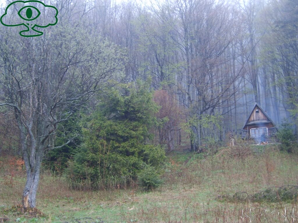 najlepsza majowka w bieszczadach