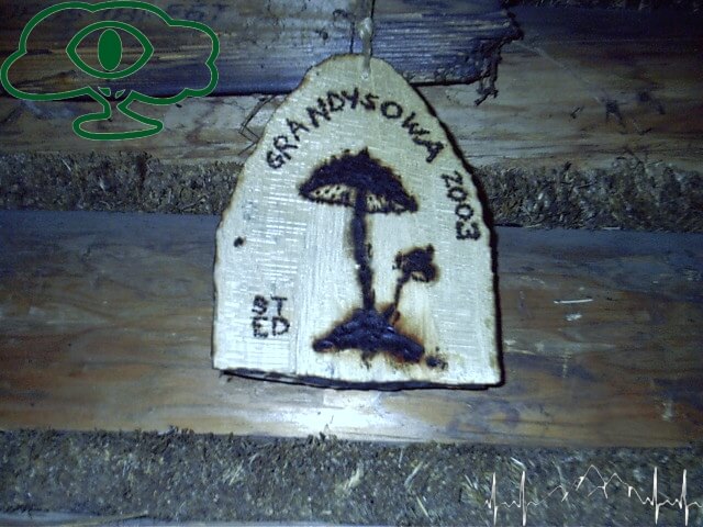 najlepsza majowka w bieszczadach