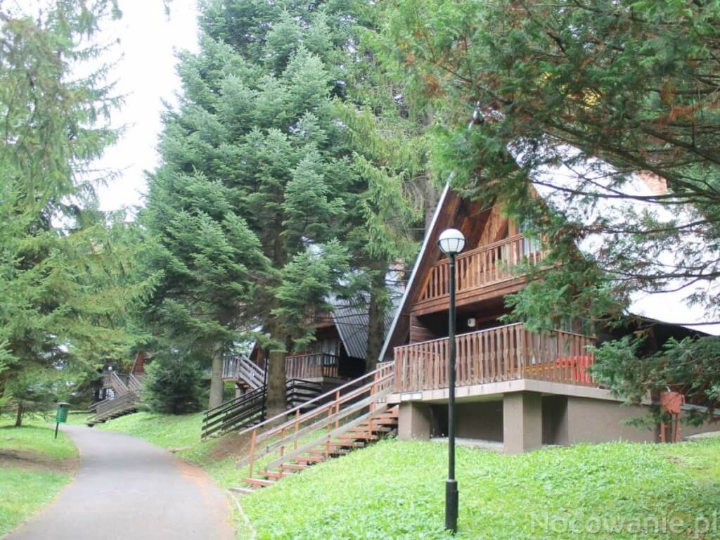 Gdzie w Bieszczady Wisan