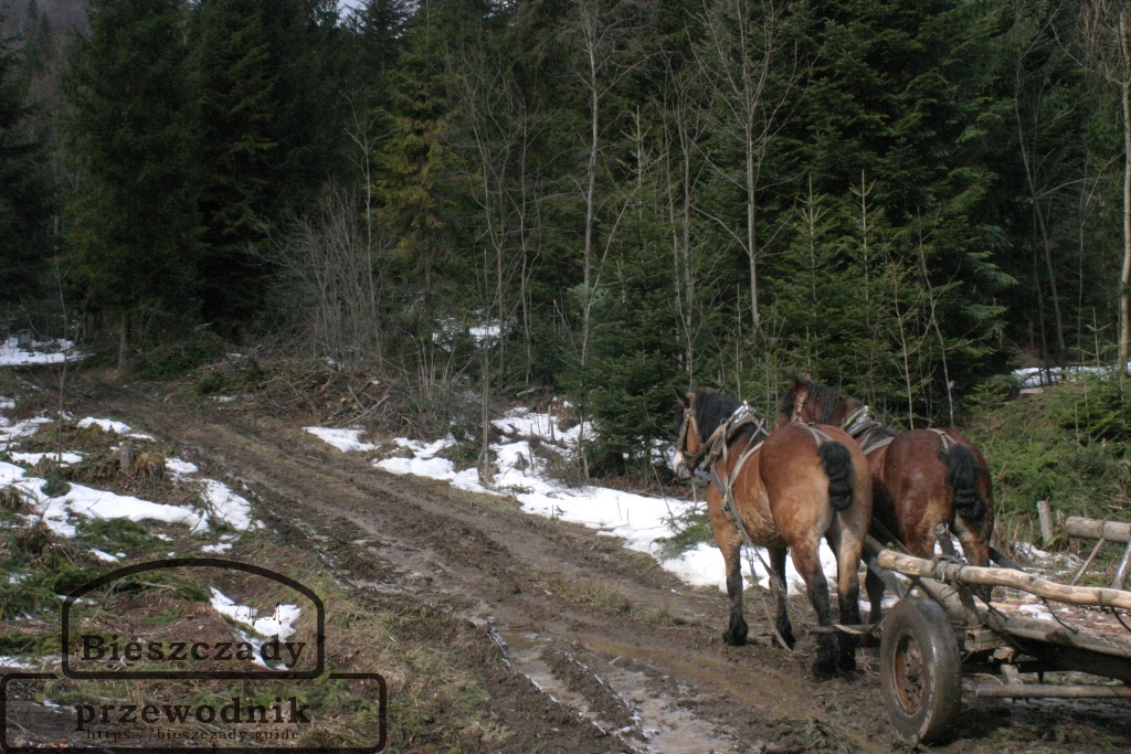 Retro zrywka i sowiecki ślimak: Bieszczady, jakich już nie ma - zdjęcie z pamiętnika bieszczadzkiego przewodnik