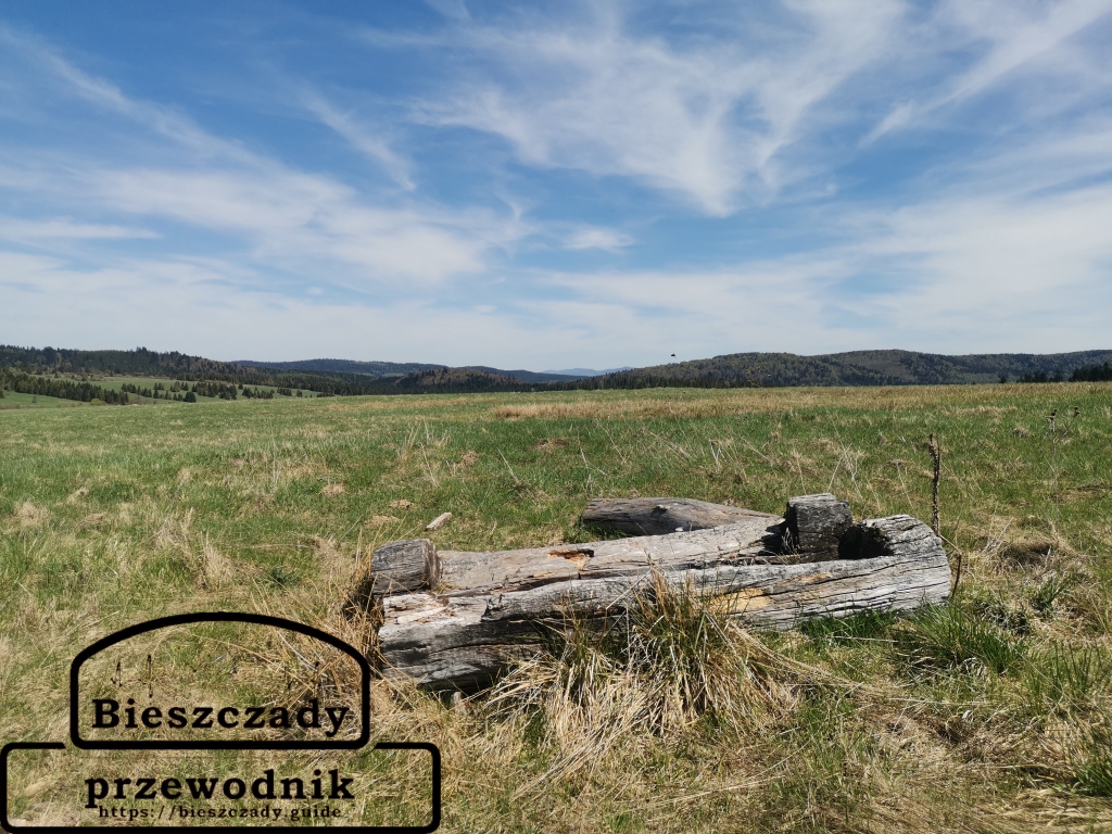 Bukowiec: Gdzie staje czas, a trawa jest niska – Twoje wczesnowiosenne odkrycia z Przewodnik Bieszczady