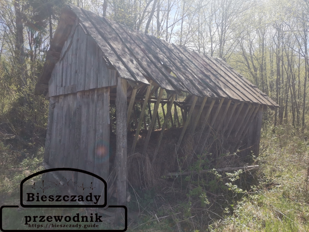 Bukowiec: Gdzie staje czas, a trawa jest niska – Twoje wczesnowiosenne odkrycia z Przewodnik Bieszczady