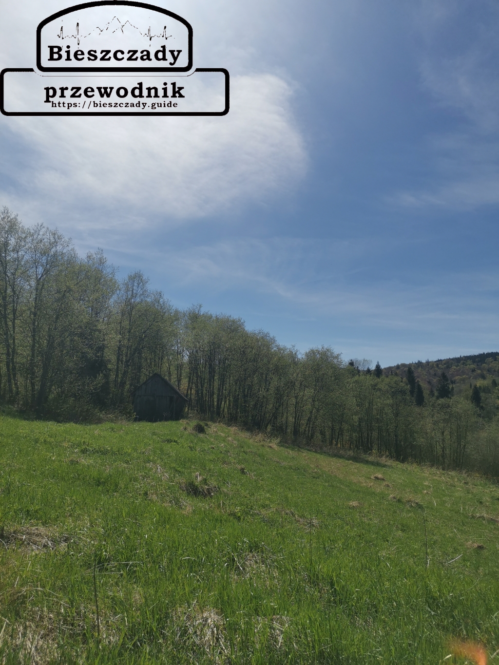 Bukowiec: Gdzie staje czas, a trawa jest niska – Twoje wczesnowiosenne odkrycia z Przewodnik Bieszczady