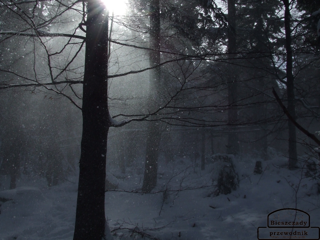 Cisza, która nie jest ucieczką