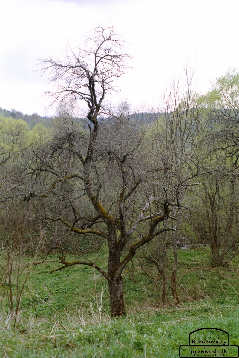 Z czego wynika bieszczadzki mit