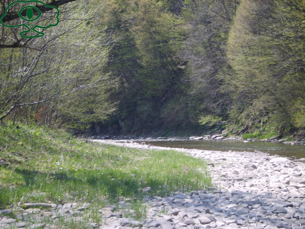 Samochodowy szlak Bieszczady wg Barnaby. Pk 20 Sine Wiry- najatrakcyjniejsze miejsce