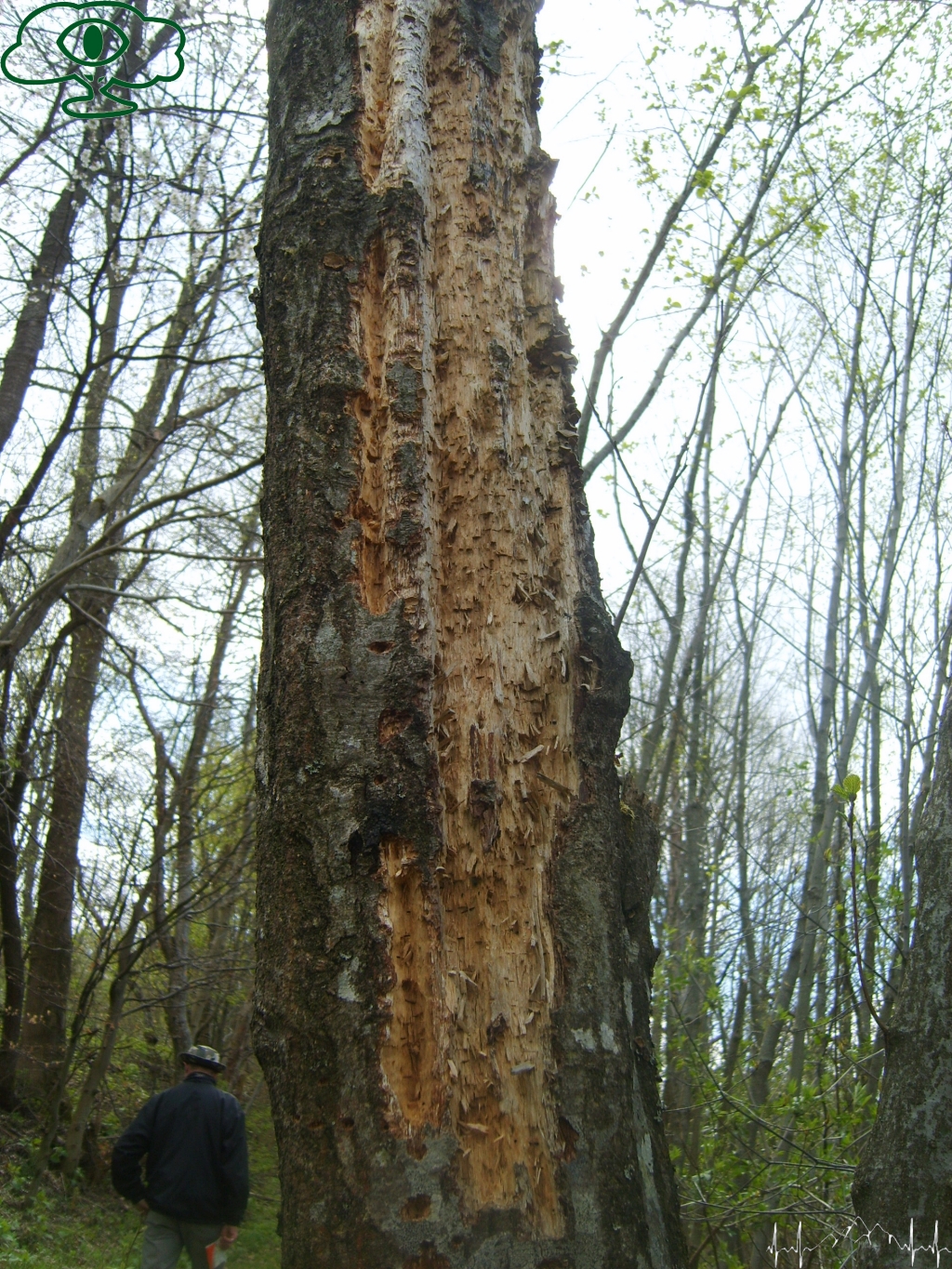 Atrakcje Bieszczad: Sine Wiry