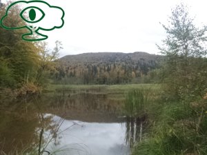 Samochodowy szlak Bieszczady wg Barnaby. Pk 6 Jeziorko Bobrowe na Huczwicach