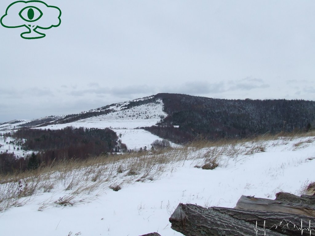 Samochodowy szlak Bieszczady wg Barnaby. Pk 8 Kamionki punkt widokowy