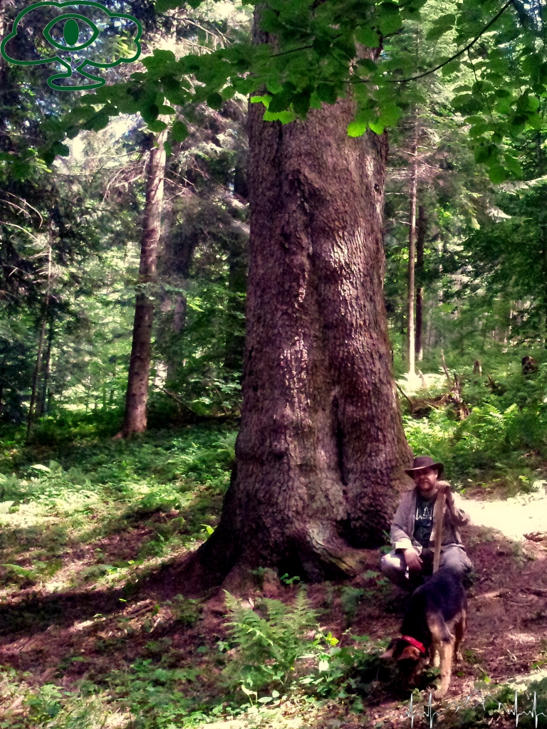 Samochodowy szlak Bieszczady wg Barnaby. Pk 2 Lasumiła 