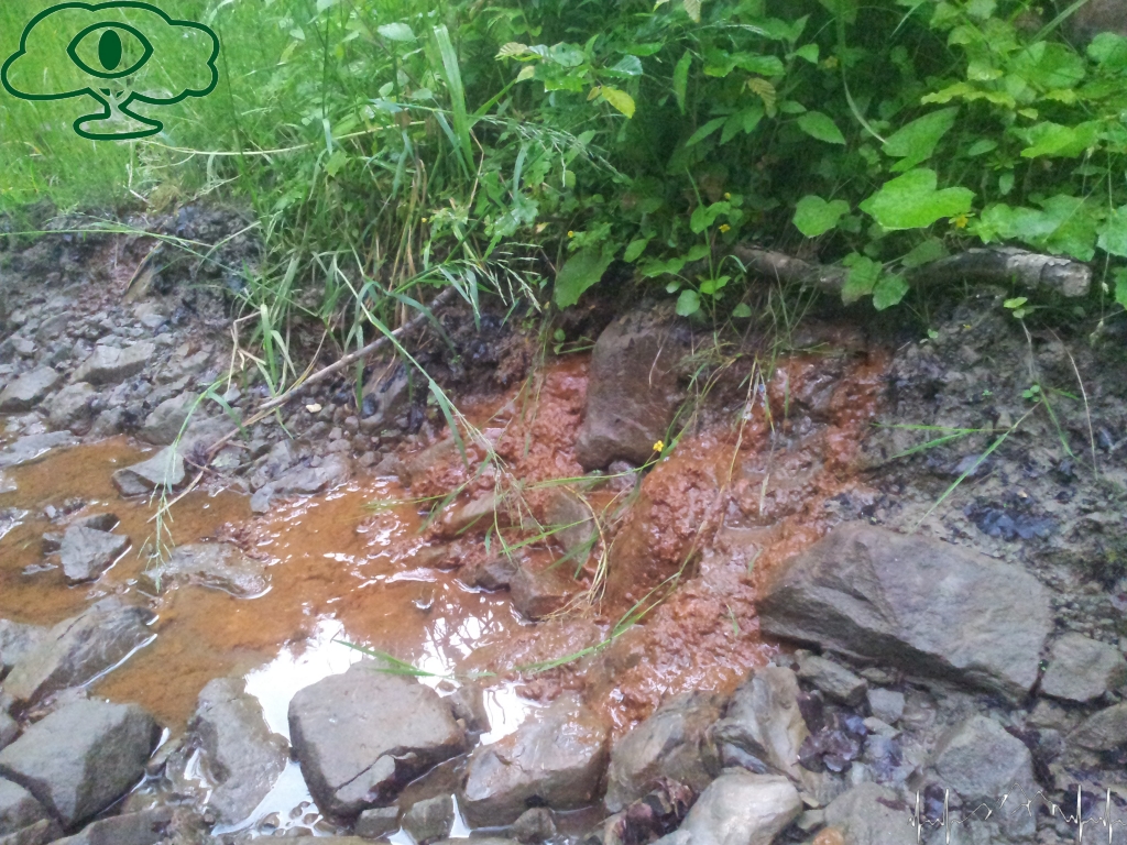 Samochodowy szlak Bieszczady wg Barnaby. Pk 2 Lasumiła 