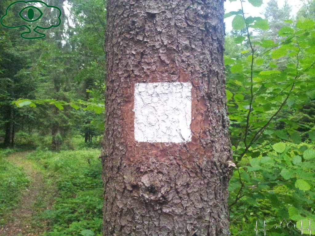 Samochodowy szlak Bieszczady wg Barnaby. Pk 2 Lasumiła 