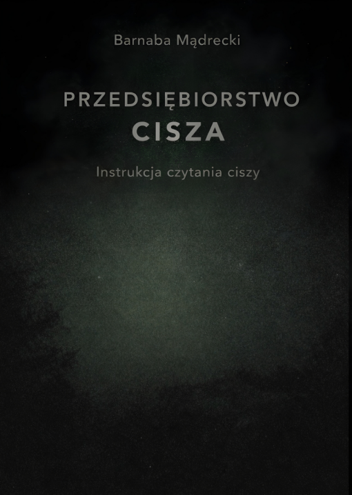 Przedsiębiorstwo cisza Przedsiębiorstwo cisza