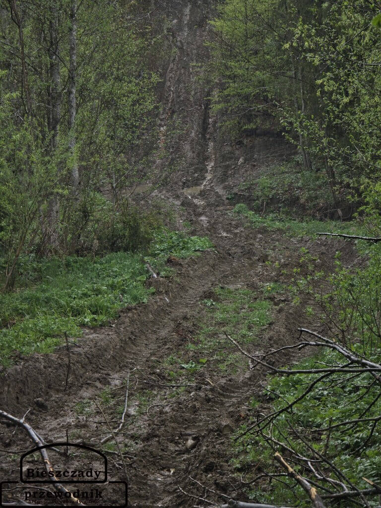 Rajd Bieszczady według Barnaby Rajd Bieszczady według Barnaby
